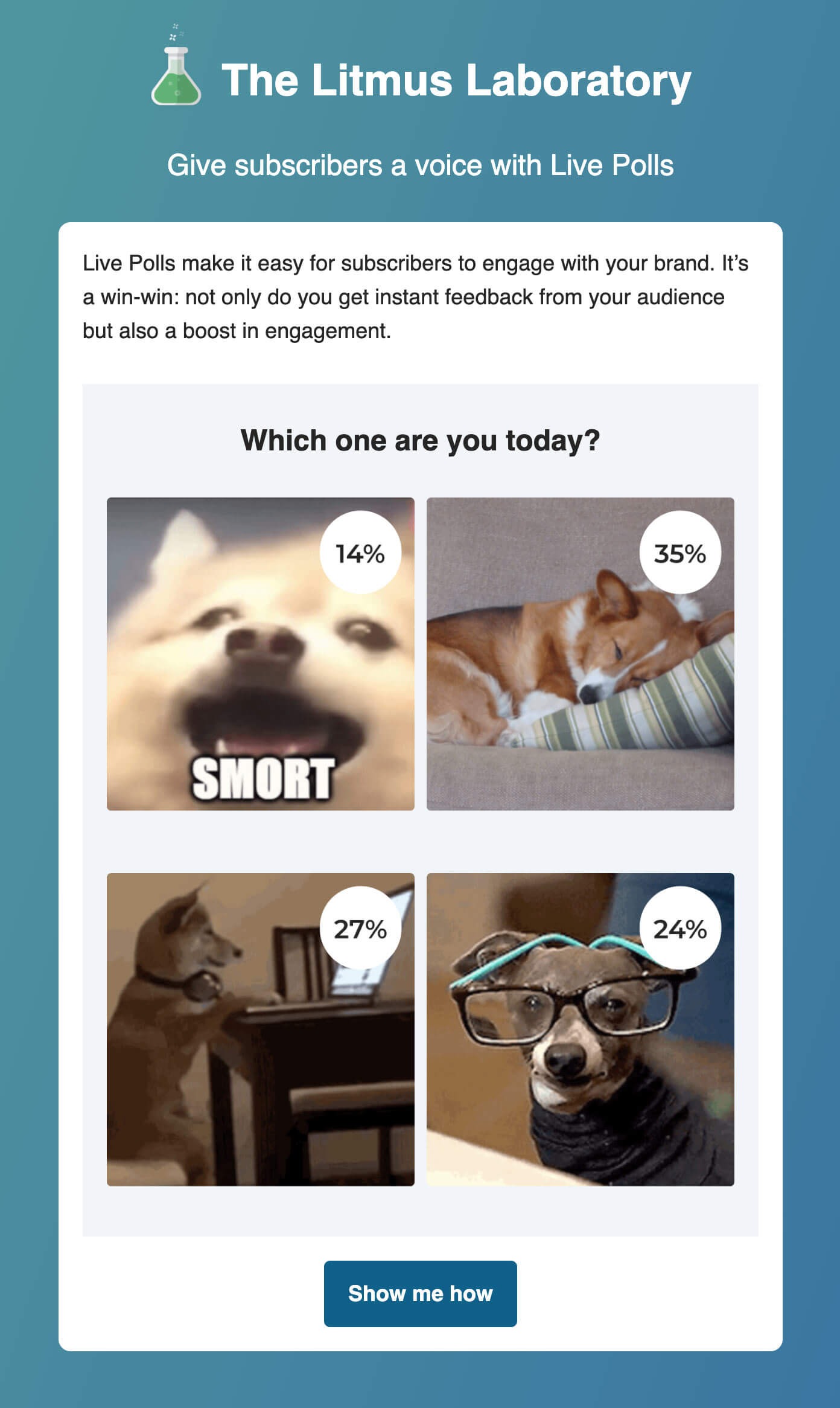 Exemplo de email marketing interativo com enquete para votação.